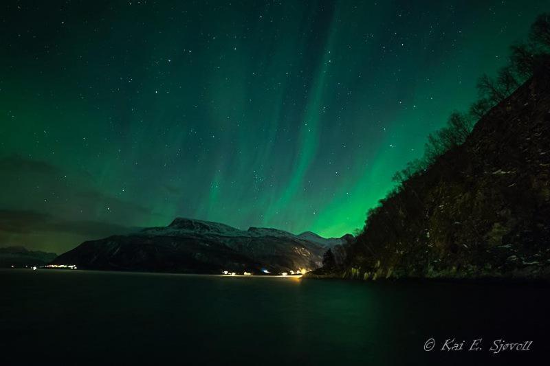 Elvegård Fjordcamp Hotell Grov Exteriör bild